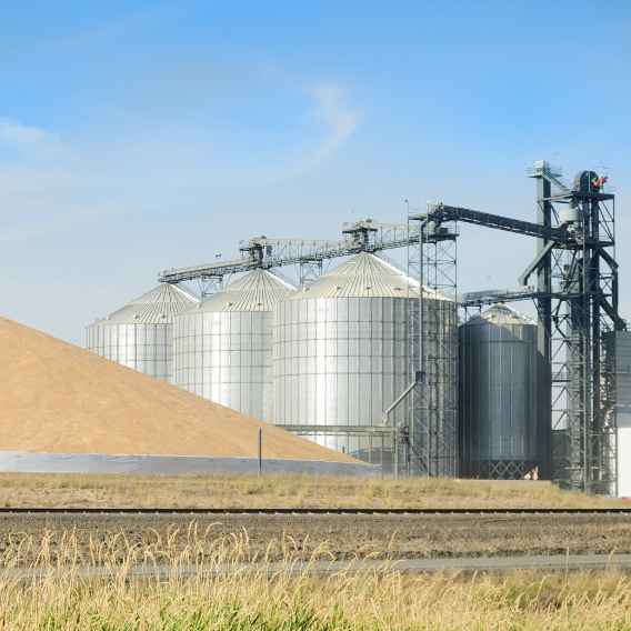 Grain processing plant