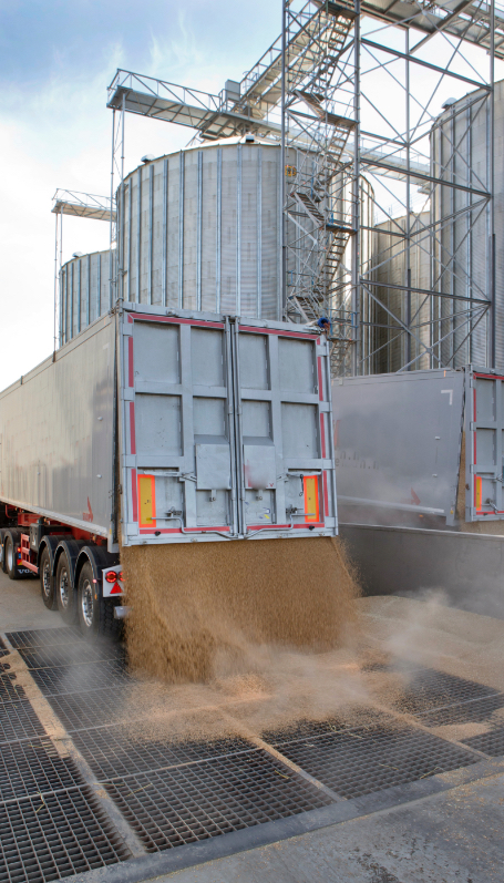 Grain truck dumping load at processing plant