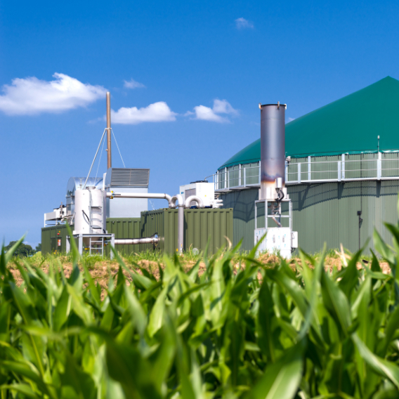 Renewable energy plant