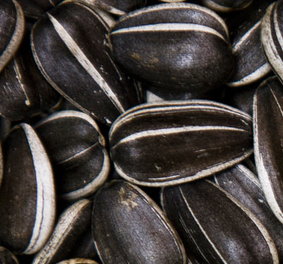Confectionary Whole Sunflower Seeds