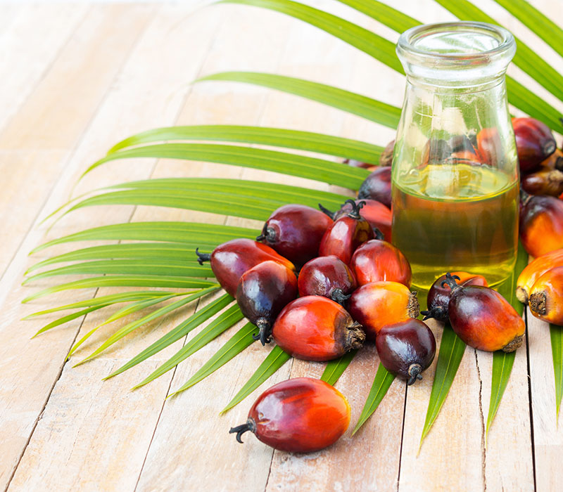 Palm Oil