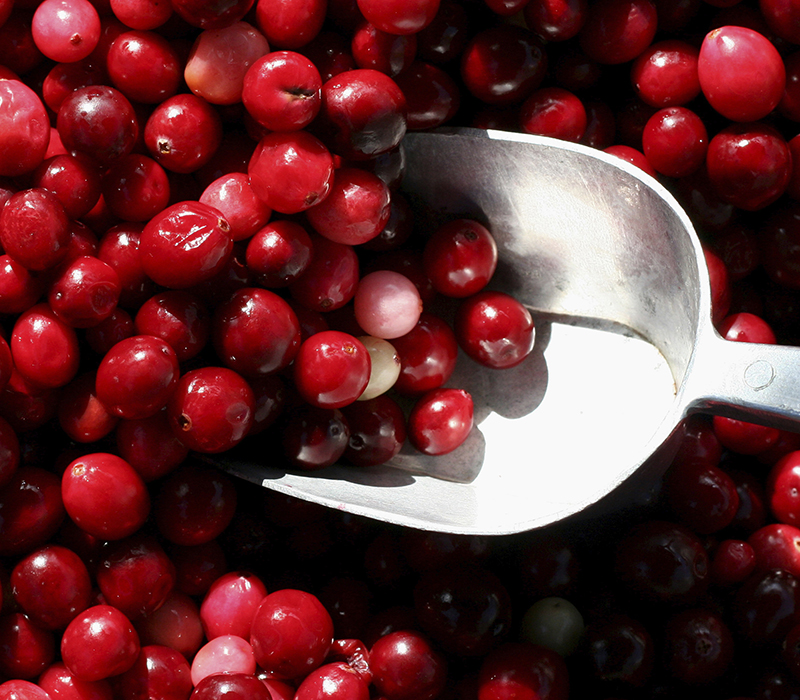 Cranberries