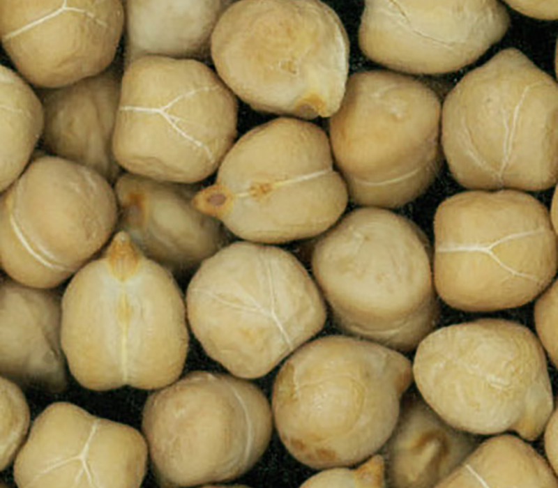Kabuli chick peas