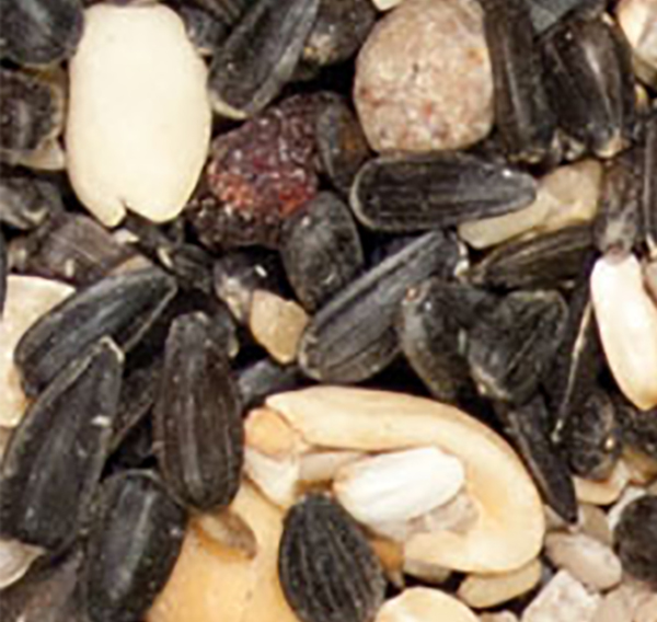 Nut & Fruit blend
