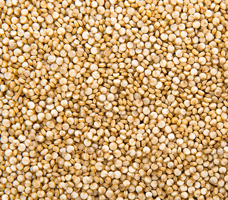 Quinoa seeds