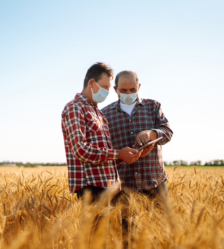 Farmers in the field with masks on