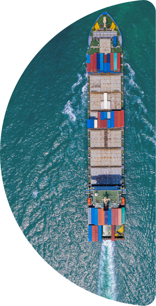 International Trade