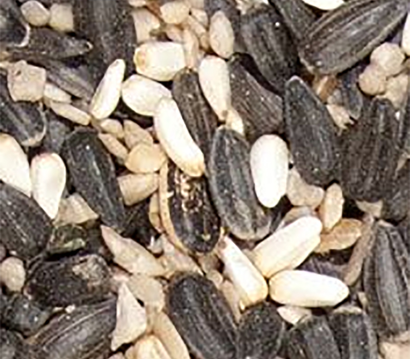 Prairie Select blend