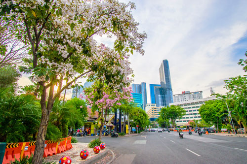 Indonesian cityscape