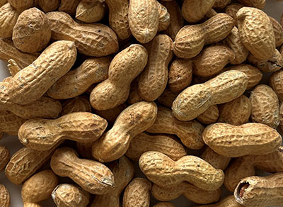 Shelled Peanuts