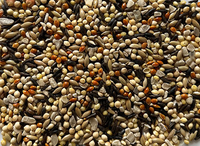 Sun Valley Finch Seed Blend