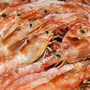 langostino meal